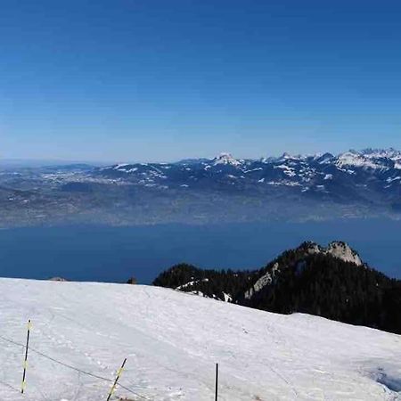 Studio Myrtilles Du Leman Vue Sur Lac Et Montagne Thollon-les-Mémises Extérieur photo