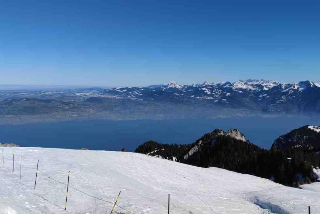 Studio Myrtilles Du Leman Vue Sur Lac Et Montagne Thollon-les-Mémises Extérieur photo