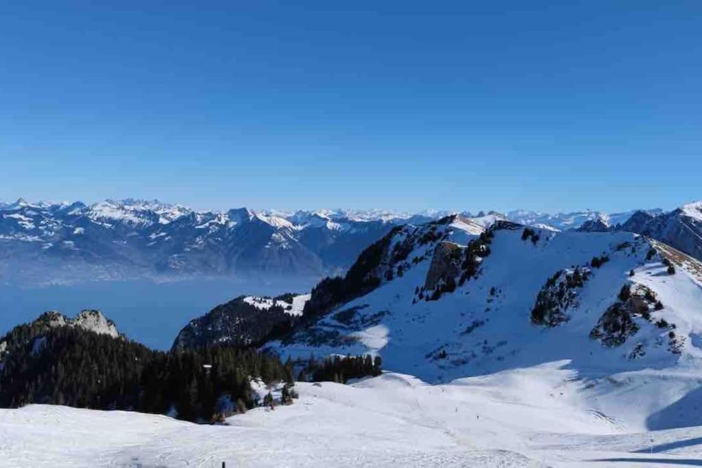 Studio Myrtilles Du Leman Vue Sur Lac Et Montagne Thollon-les-Mémises Extérieur photo