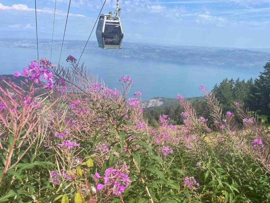 Studio Myrtilles Du Leman Vue Sur Lac Et Montagne Thollon-les-Mémises Extérieur photo