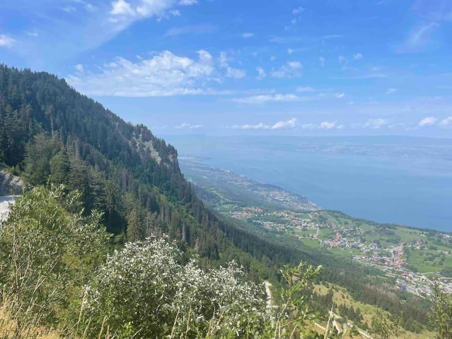 Studio Myrtilles Du Leman Vue Sur Lac Et Montagne Thollon-les-Mémises Extérieur photo